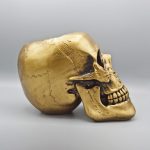 100 مجسمه جمجمه مدل Big Skull کد Pdsc092 نیمرخ