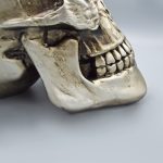 100 مجسمه جمجمه مدل Big Skull کد Pdsc092 نزدیک