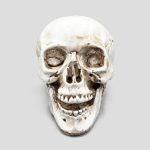 مجسمه جمجمه مدل Happy Skull کد Hzh934 - Image 2