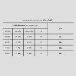 تیشرت کلاهدار اسکلتی مدل Teddy Skeleton کد Spl-607d4 - Image 5
