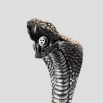 قلیون اسکلتی LED دار مدل King Cobra کد Ork-596d3 - Image 7