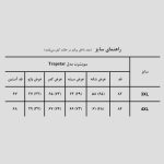 سویشرت اسپرت مدل Trapstar کد Spl-545d5 - Image 5