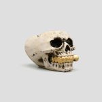 زیرسیگاری جمجمه ساده مدل Golden Pipe کد Shah384