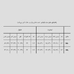 پکیج اسکلتی طرح پانیشر مدل Marvel کد Blk-001 - Image 6