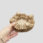 زیرسیگاری گرد اسکلتی مدل Bones کد Bhrz-392 - Image 3