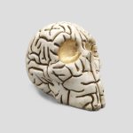 مجسمه جمجمه مدل Brain کد Shah-268 - Image 4
