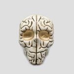 مجسمه جمجمه مدل Brain کد Shah-268 - Image 3