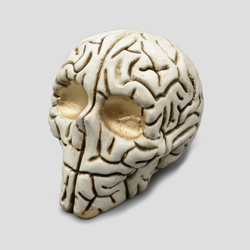 46881- مجسمه جمجمه مدل Brain (4) مجسمه جمجمه مدل Brain کد Shah-268 - Image 1