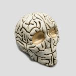 مجسمه جمجمه مدل Brain کد Shah-268 - Image 6