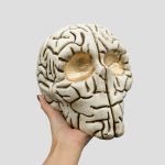 مجسمه جمجمه مدل Brain کد Shah-268 - Image 5