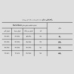 تیشرت باکسی فیلیپ پلین مدل Dark Ghost کد Spl-586d3 رنگ مشکی - Image 6