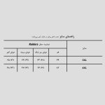 تیشرت لش اسکلتی مدل Raiders کد Spl-445d6 رنگ آبی نفتی - Image 8