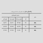 تیشرت باکسی کروم هارتز کد Qsh-559d2 رنگ زغالی - Image 6