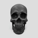 مجسمه دیواری طرح اسکلت مدل Hex Skull کد 404K0233