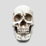 مجسمه دیواری طرح اسکلت مدل Hex Skull کد 404K0233 - Image 2