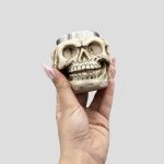 شات اسکلتی داخل استیل مدل Hear No Evil کد PPS-405A0184 - Image 6